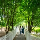 역곡로257번길 이미지