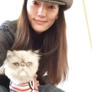 이엘 스타뉴스