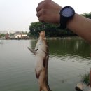 남촌낚시터 이미지