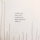 영화 스위밍풀 본도토있어? 이미지