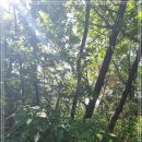 내곡동483 이미지