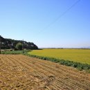 종암농장 이미지