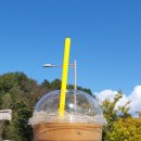 고향황토집 | 단풍이 물들어가는 진안부귀황토하우스캠핑장에서