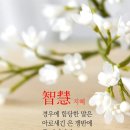 리젠트공인중개사사무소 이미지