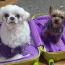 해랑방2 이미지