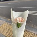 에이치스퀘어한양대동문회관웨딩홀