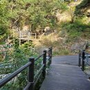 장미동산(좌) 이미지