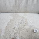 해모로 세탁 이미지