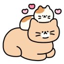 스테이구들 이미지