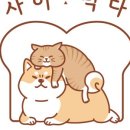 사이먹다 이미지