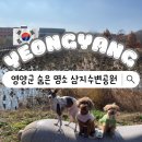 영양여자고등학교 | 삼지수변공원 경북 영양 가볼만한 곳 숨은 명소 추천 반려견 동반 가능