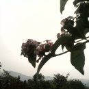 고향농장 이미지