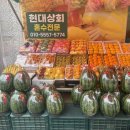 현대과일상회