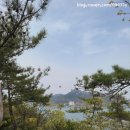 커피파나쉐전망대점