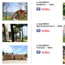 안면도펜션 이미지