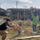 왕언니민박 이미지