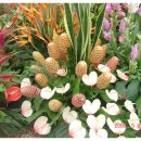 대안중학교 이미지