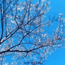 (주)테이크제주 이미지