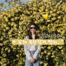남해군푸드뱅크 | 남해 목향장미 투어 산들예술원, 다랭이팜 유자가득, 남해로컬푸드는 덤