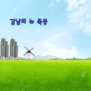 크린렌드 이미지
