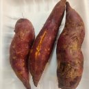 🍎재현과일 ㅡ 명품 황제감귤 공구, 산지단감 공구, 캄파리 토마토, 흑토마토, 블루베리, 감숙왕 파인애플ㅈ등등 이미지