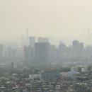 드림아이 태권도 이미지