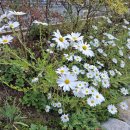 광판순두부 이미지