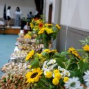 국립안동대학교 | [다과케이터링서비스]국립안동대학교 홍보대사 홈커밍데이 동호회모임에 다과서비스 해드린 날