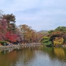 스튜디오作작 이미지