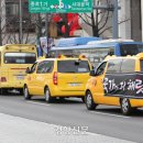 광장유치원 이미지