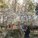 블랑 게스트하우스 이미지