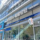 문정힐스 동물병원 | 송파구 문정동 동물병원 문정힐스동물병원 진료시간 접근성 이용후기