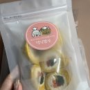 댕냥밥상 | 건강한 강아지 수제간식 댕냥밥상 솔직후기