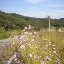 명장초등학교 이미지