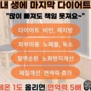 호리호리다이어트