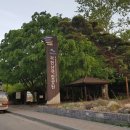 북한산 아구랑 명태랑 이미지