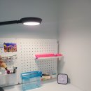 씨엔(C.N) 소프트 | 휴대폰 초고속 충전기 CTOC USBTOC 꼬임없는 스프링 충전케이블 후기