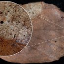 Rain FITNESS 이미지