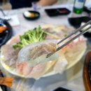 OK도매횟집 화명점 | 부산 화명동맛집 가성비횟집 OK도매횟집 화명점 고급모둠회,전어회 가족외식 내돈내산 후기