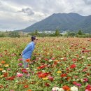 가조수협효시공원 이미지