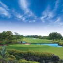 크라운CC 이미지