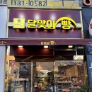 증산약국 | 양산신상빵집 양산과일모찌 ‘양산 해운대달맞이빵’ 아쉬웠던 내돈내산 후기