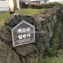 [제주도] 개인 수영장이 있는숙소 하도리 일번지 추천 후기