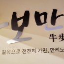 청도소싸움테마파크 이미지