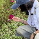 씨유 정읍수성자매점 | 정읍구절초축제기간 2025 개화시기 지방정원 짚라인까지