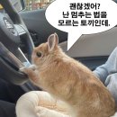 사당문화회관 이미지