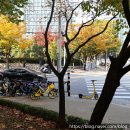 평촌공원 입구 이미지