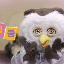 와가마마 이미지