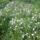 너울농장 이미지