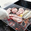고기사라